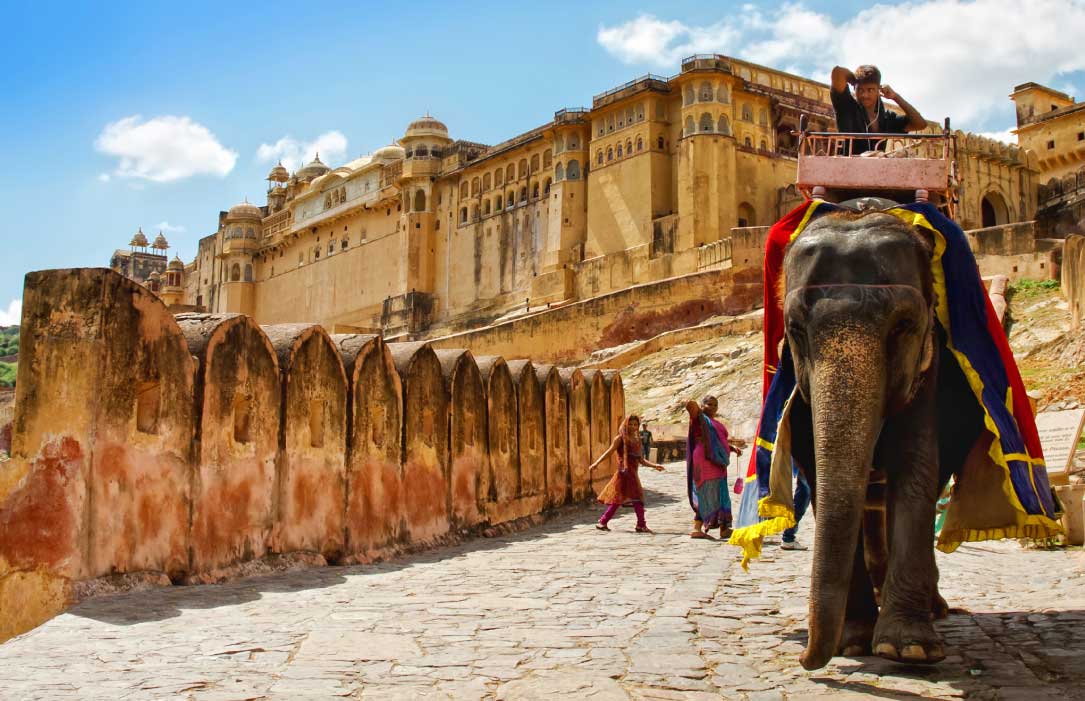 Course Image Book VI